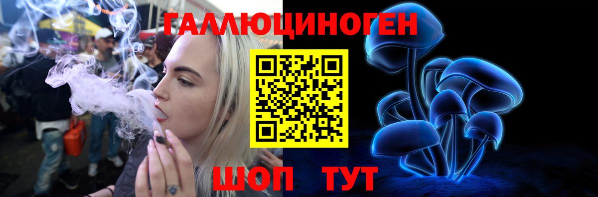 Новоалтайск  Галлюциногенные грибы Cubensis  Вход с VPN 